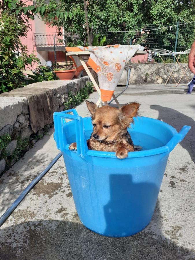 Casa Vacanza Zia Ersilia Rotondi Eksteriør billede